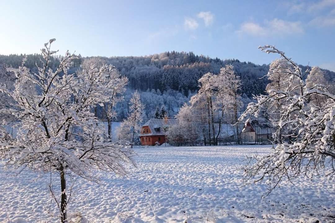 Vila Roubenka Pod Čapím vrchem Velké Losiny Exteriér fotografie